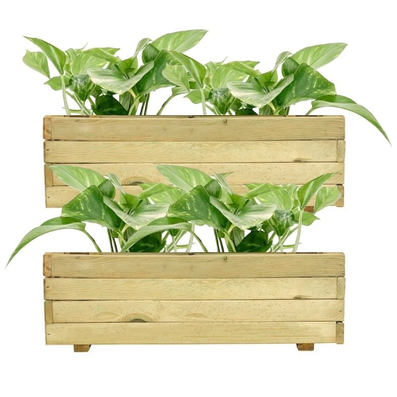 Conjunto de 2 floreiras de madeira com plantas