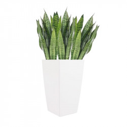 vaso de resina 26cm branco com plantas