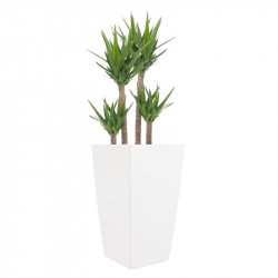 vaso de resina 26cm branco com planta