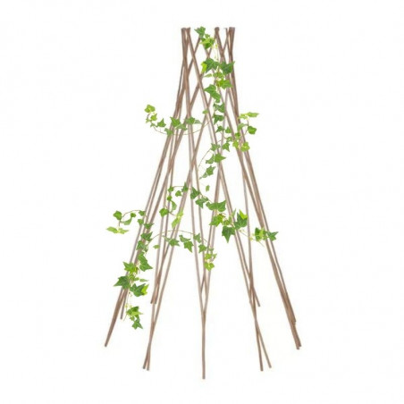 Treliça cónica de Bambu